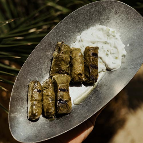 Grilled dolmadakia